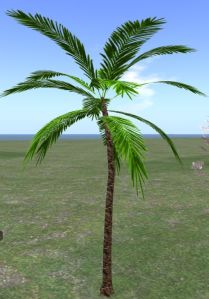 palm