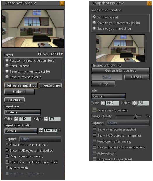 The new (l) and old (r) Singularity snapshot floaters (click to enlarge)
