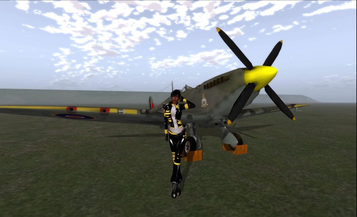 Just a gal and her Mark IX