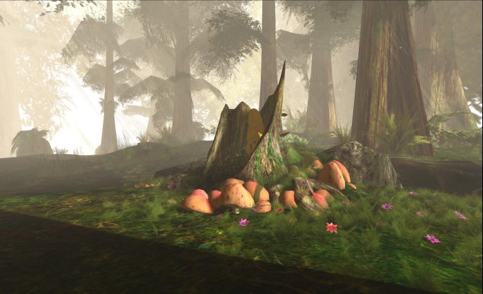Chakryn Forest