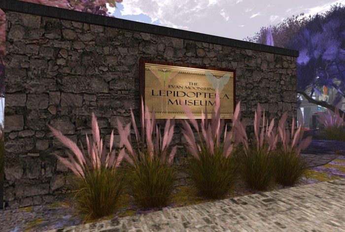 Evan Moonshine - Lepidoptera Museum