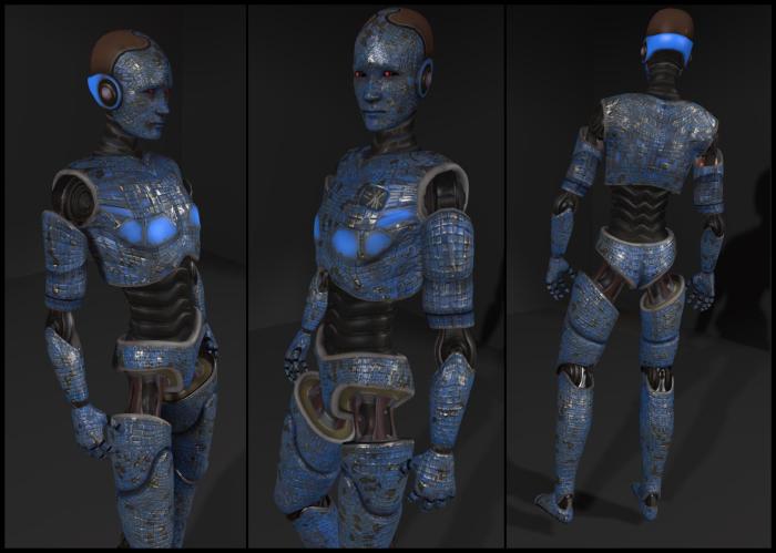 Chip Midnight's mesh avatar model (click to enlarge)