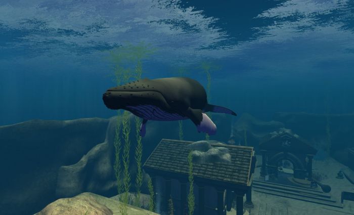 Having a whale of a time at the Under The Sea Expo!