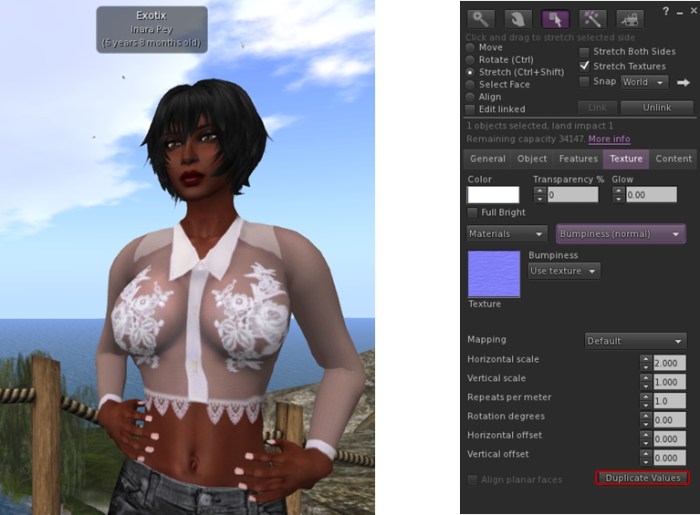 The new avatar age display in name tags (Preferences > Kokua > General) and the new button for duplicating values for size, offsets, etc., on maps