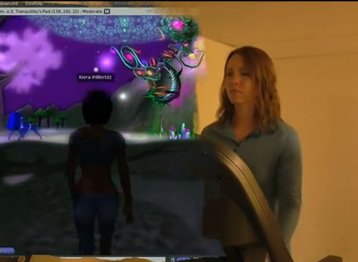 InWorldz InShape in action: a walk in the park in-world (left) while exercising at home (r)