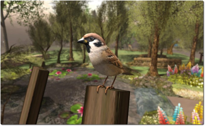 Morgan Garrat's Eurasian Sparrows help bring the place to life