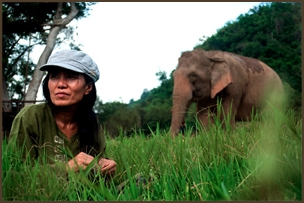 "Lek" Chailert, founder of SEF and the Elephant Nature Park in Thailand