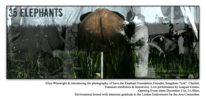 Image courtesy of Eliza Weirwight