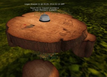 Are you being served? The Firestorm region support bell 