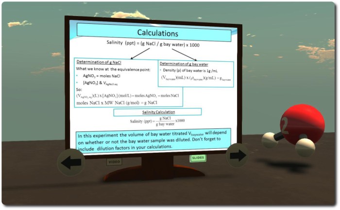 The NSF-funded study environments are located in the sky over the main A&M faculty space in-world, and like the facilities on the ground use the full power of SL's multi-media capabilities