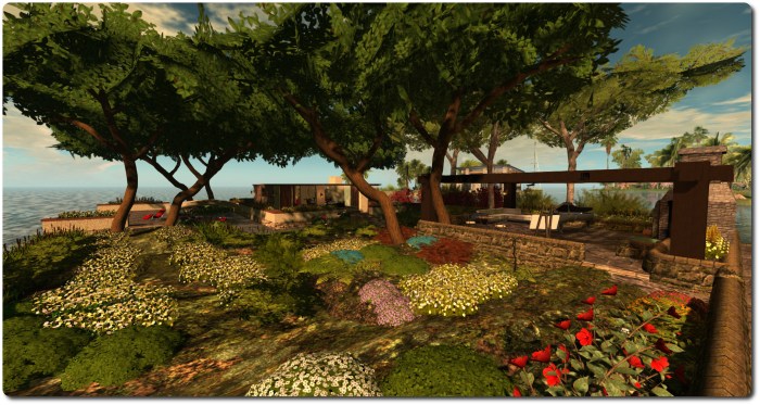 Living on the island: the garden has some new plants and shrubs