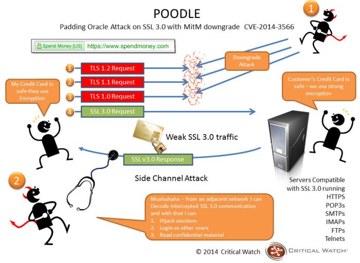 How a Poodle attack works (image courtesy of Critical Watch)
