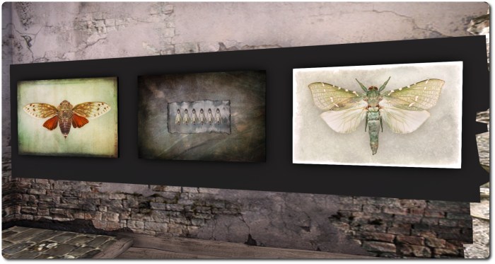 Waterscapes and Flying Things