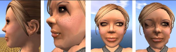 Distortions and deformations in avatars using the Bento skeleton were noticed in the closed session Bento development cycle. Since then, Cathy Foil has been digging more deeply into the problems