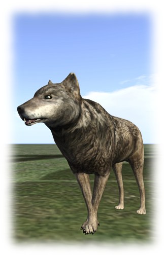 Medhue demonstrates the forleg crossing using his wolf avatar. The issue is a lot more extensive than this, with the avatar sometimes looking as if it is standing with forelegs folded in the same way a human folds their arms