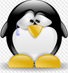 Linux: market share seen a too small & lacking VR support to be currently under consideration for Sansar