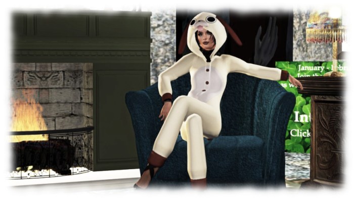 Like the family pet, nothing gets the affection of the media more than showing you care for them