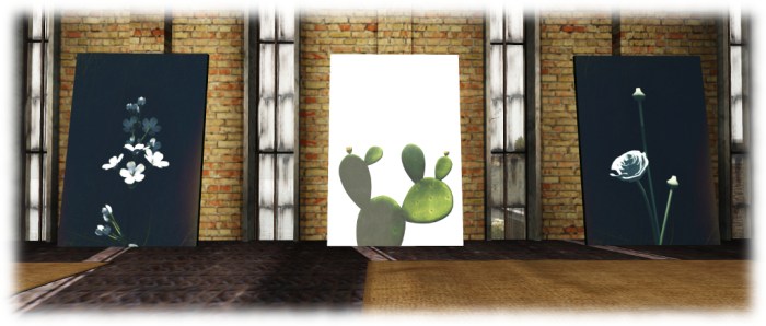 Solitude - Dathúil Gallery