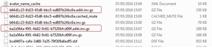 Your local inventory (.GZ) cache files can be identified within your local cache folder by the inclusion of "aditi" in their file names