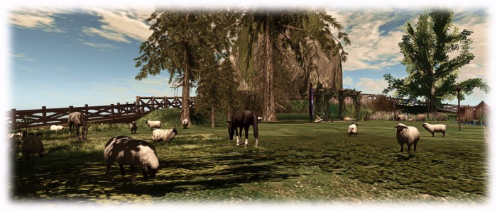 Unmasking a Cure - Medieval Faire - the meadow