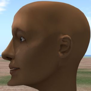 Setting the Egg Shape slider to 0 results in the chin bone sliding forward, rather than down: a result of trying to get a single slider to try to work with multiple head bones