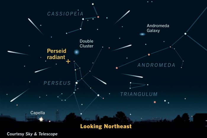 The Perseids and where to see them in the night sky