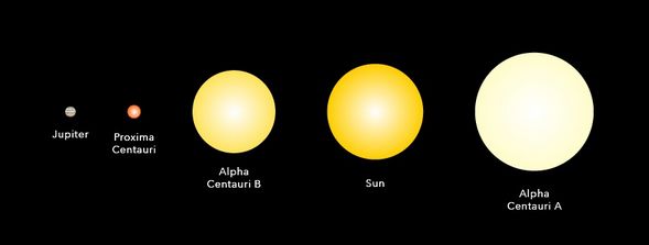 Proxima Cantauri compared with other stellar bodies - and Jupiter (Credit: Space.com)