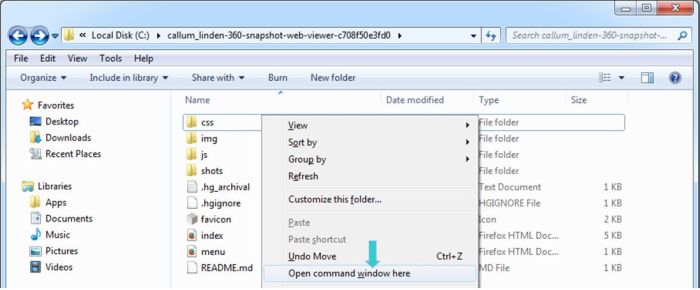 Accessing a command window in the web viewer folder