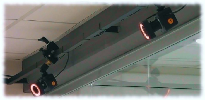 Two of the 12-camera rif vista Animation use in their motion capture process