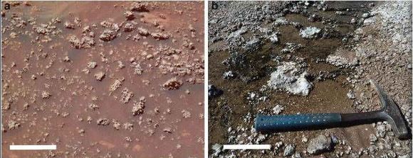 An image of "Home Plate" showing a mass of opaline silica nodules, captured by NASA's Spirit rover in 2006, and a photograph showing similar formations at El Tatio, Chile Credit: ASU/Ruff & Farmer