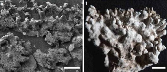 A closer view of the structures as images by Spirit in 2006, and a an image of the opaline silica at El Tatio taken at the same distance and resolution. Credit: ASU/Ruff & Farmer