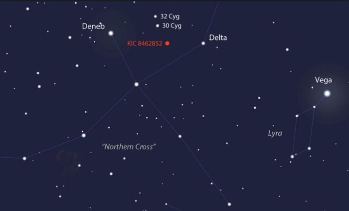 If you have access to a 15-cm (6-in) or larger telescope you should be able to see "Tabby's Star" if /when Cygnus is above your night-time horizon