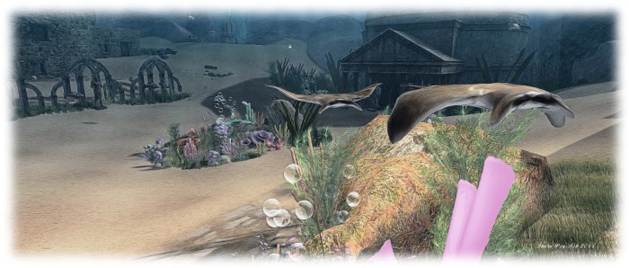 The Lost World - Oyster Bay