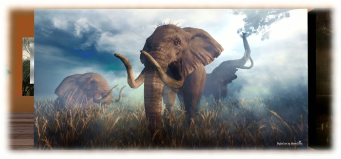 Artful Expressions: Cyoko Xoon